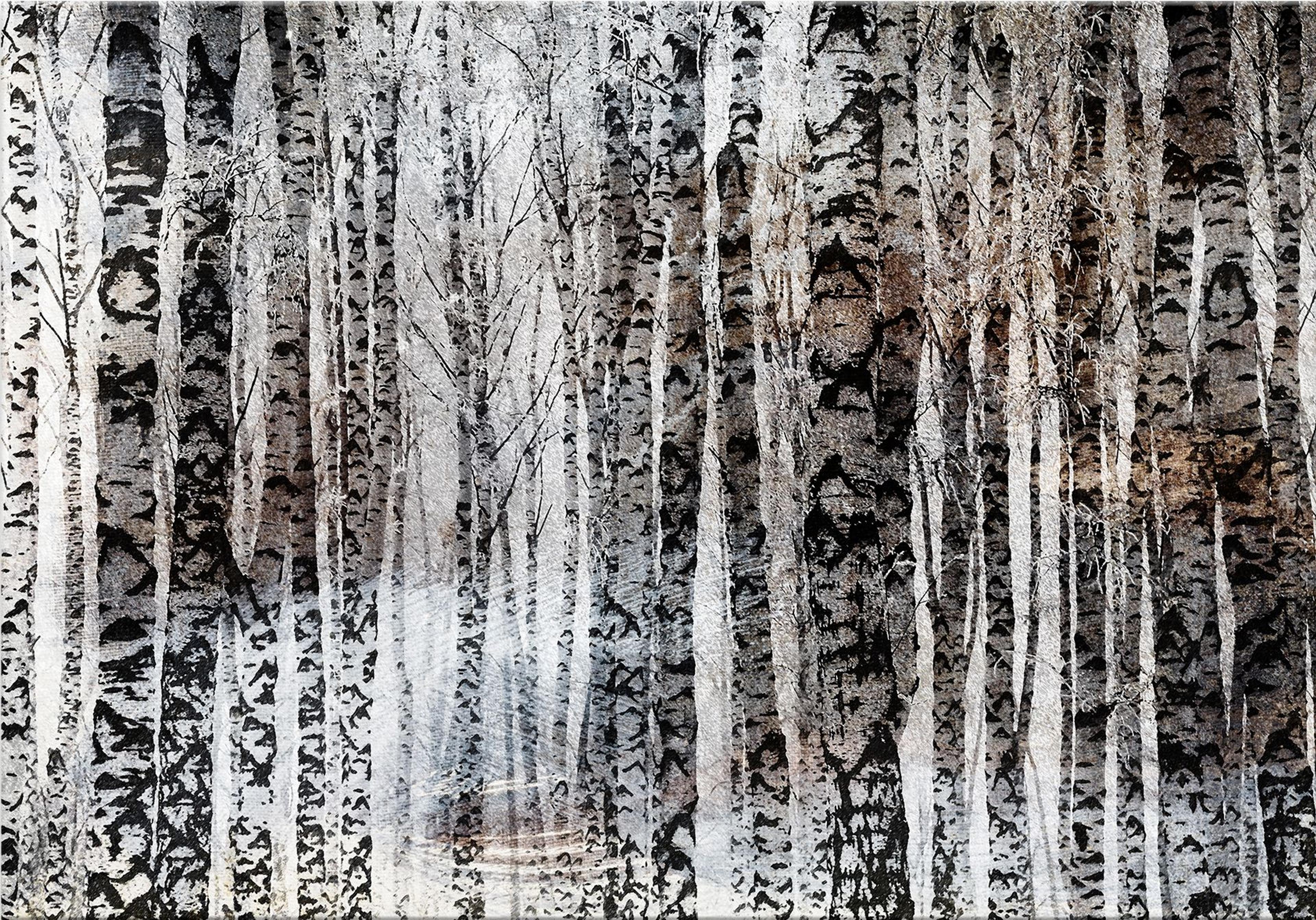 Plakat Samotny zimowy las