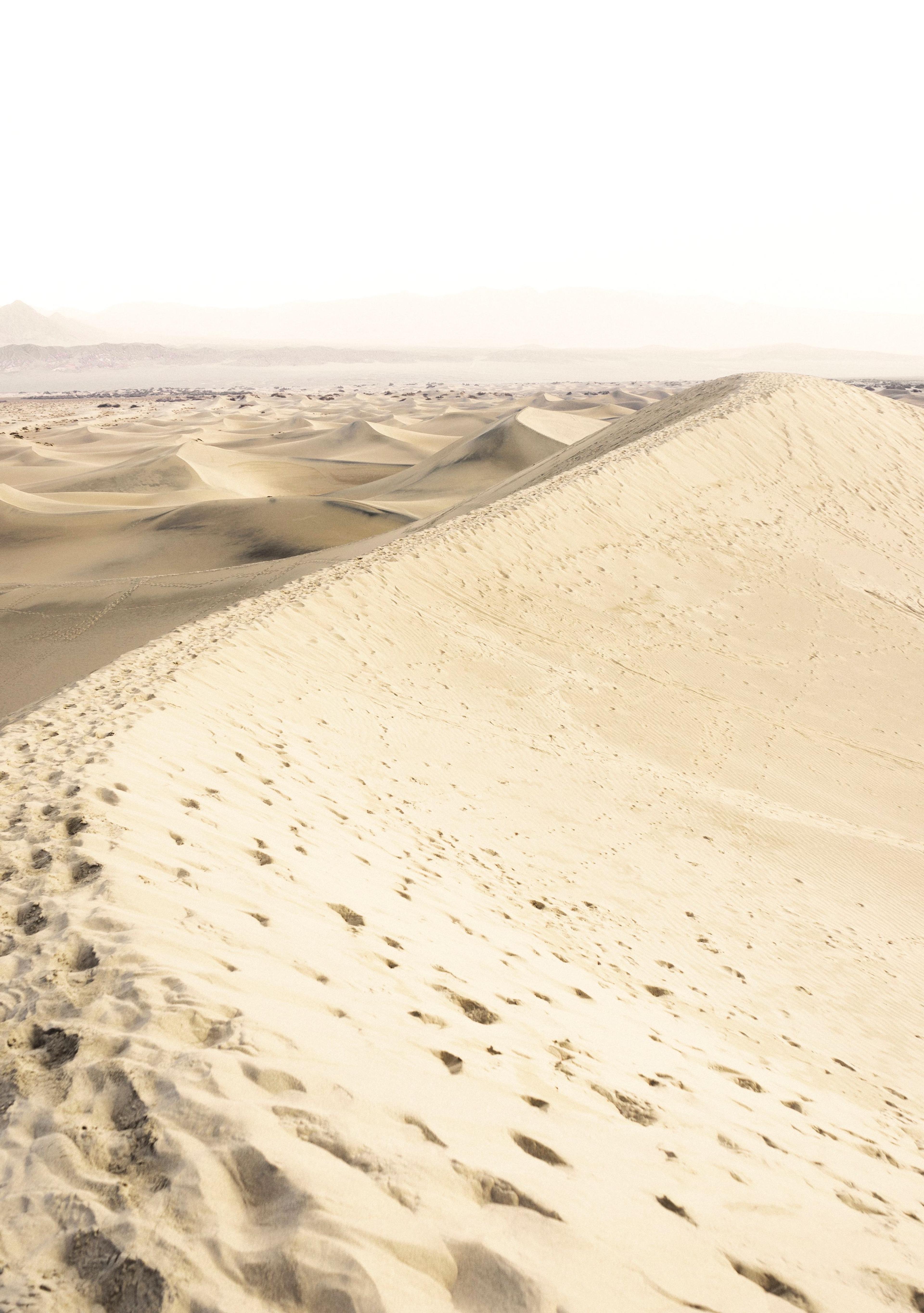 Ślady pustyni